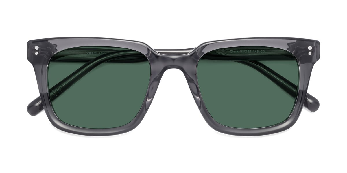 Tortoise Wide Wayfarer Acetate Polarized Sunglasses with Green Sunwear ...