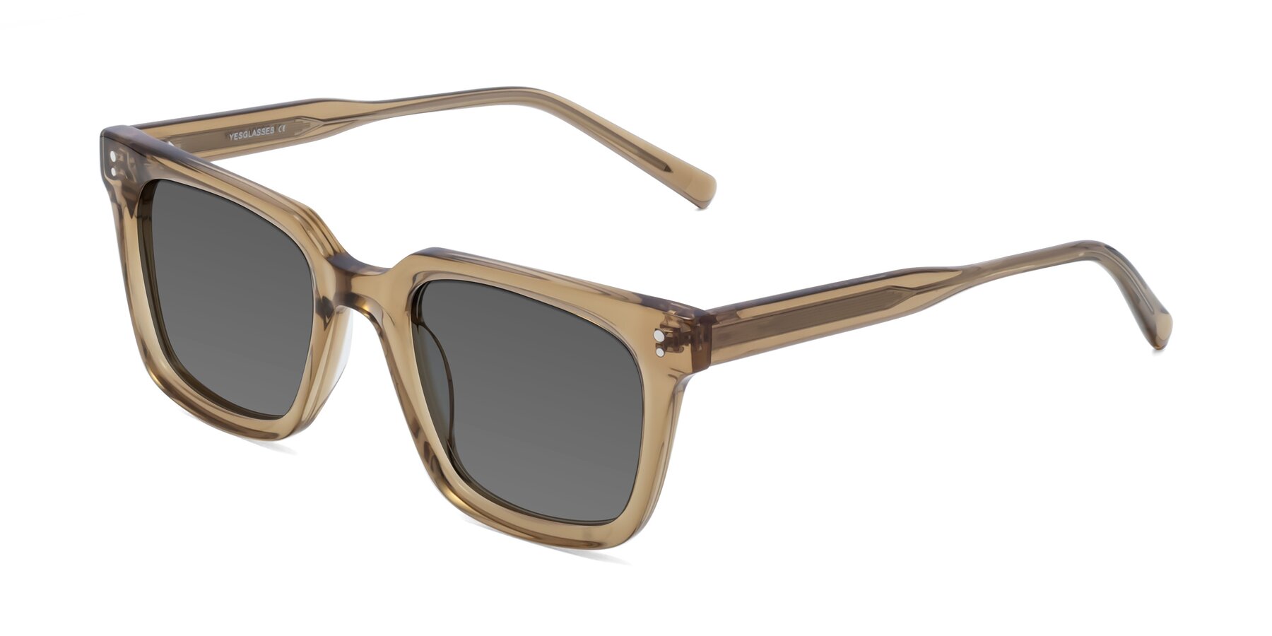 Angle of Clark in Tan with Medium Gray Tinted Lenses