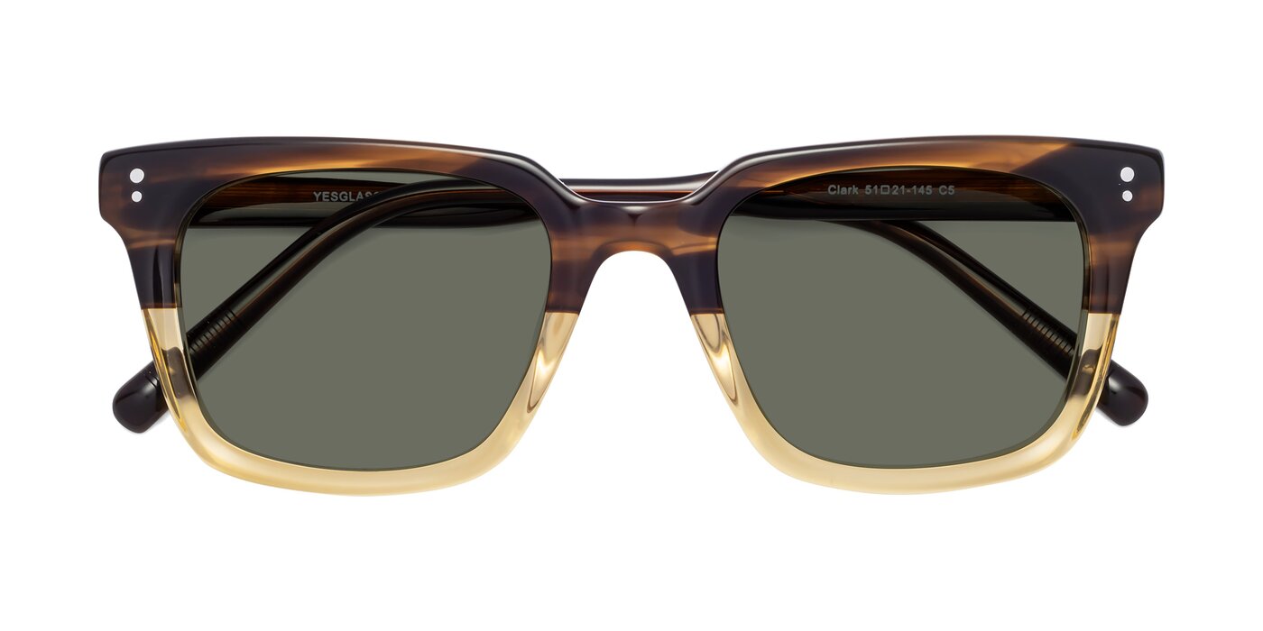Clark - Brown / Oak Polarized Sunglasses