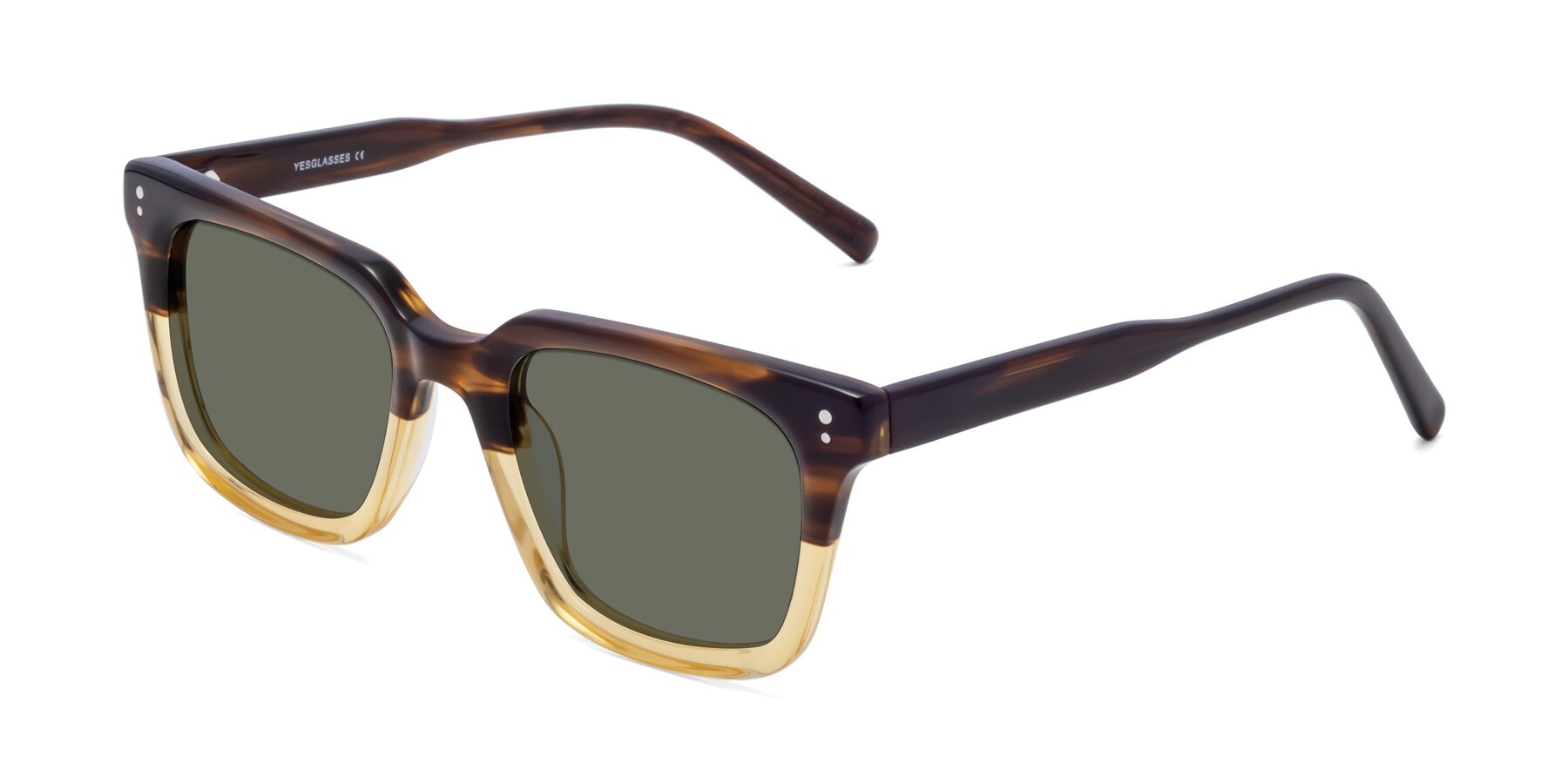 Angle of Clark in Brown-Oak with Gray Polarized Lenses