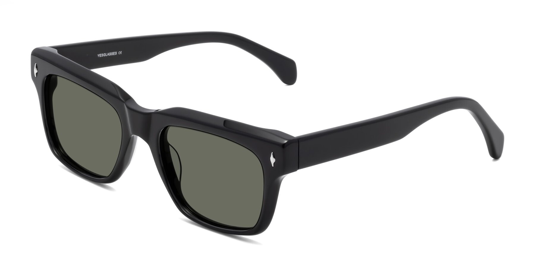 Angle of Forbes in Black with Gray Polarized Lenses