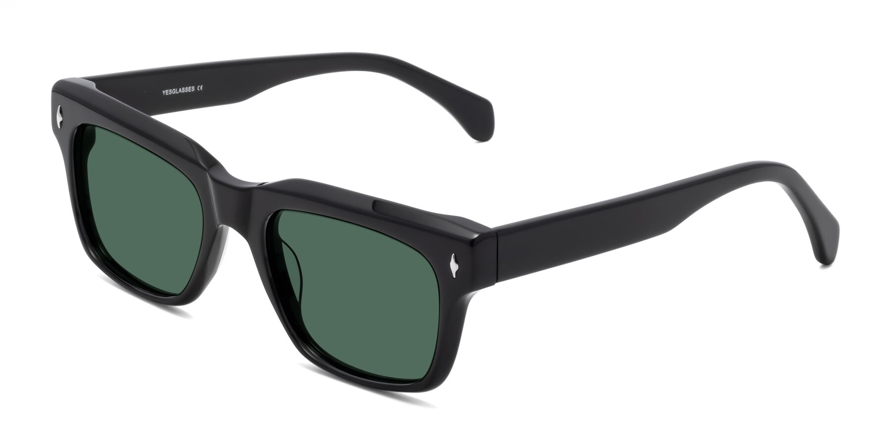 Angle of Forbes in Black with Green Polarized Lenses