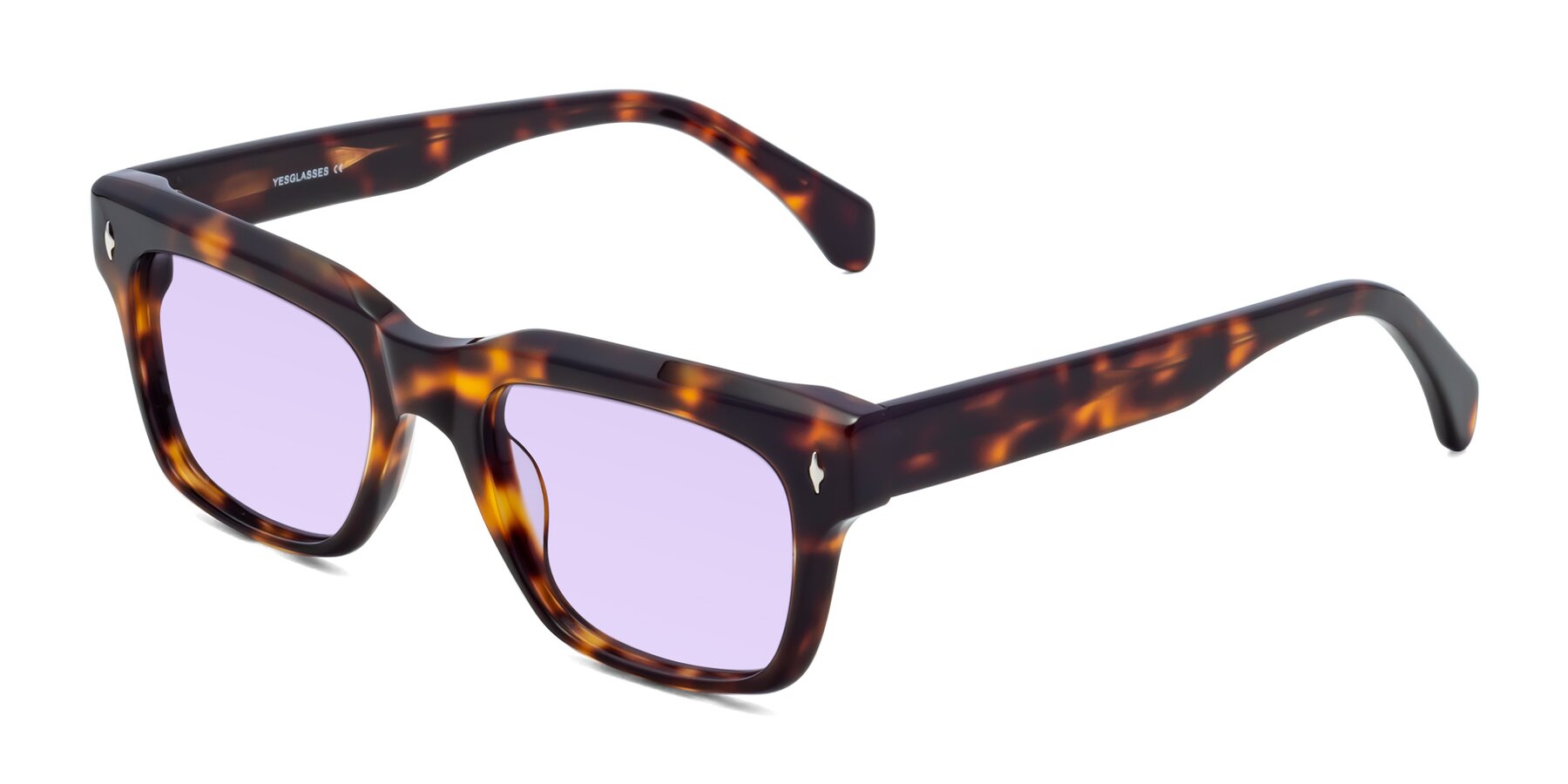Angle of Forbes in Tortoise with Light Purple Tinted Lenses