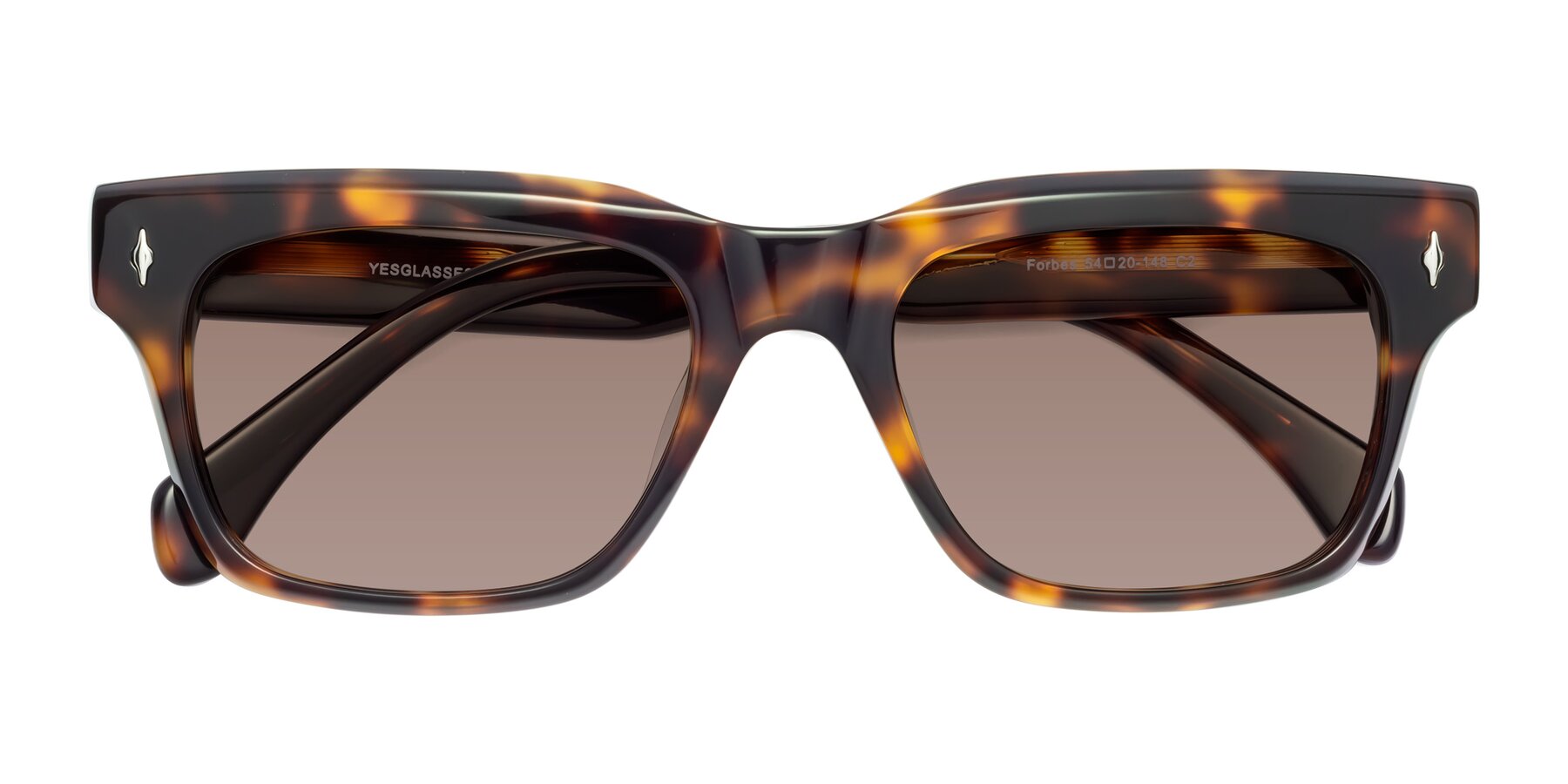 Folded Front of Forbes in Tortoise with Medium Brown Tinted Lenses