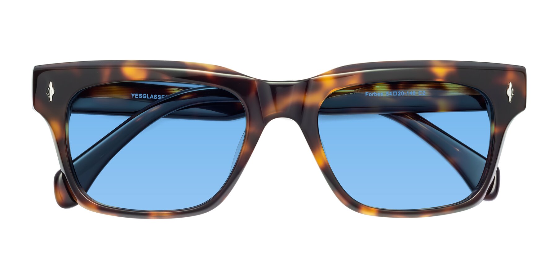 Folded Front of Forbes in Tortoise with Medium Blue Tinted Lenses