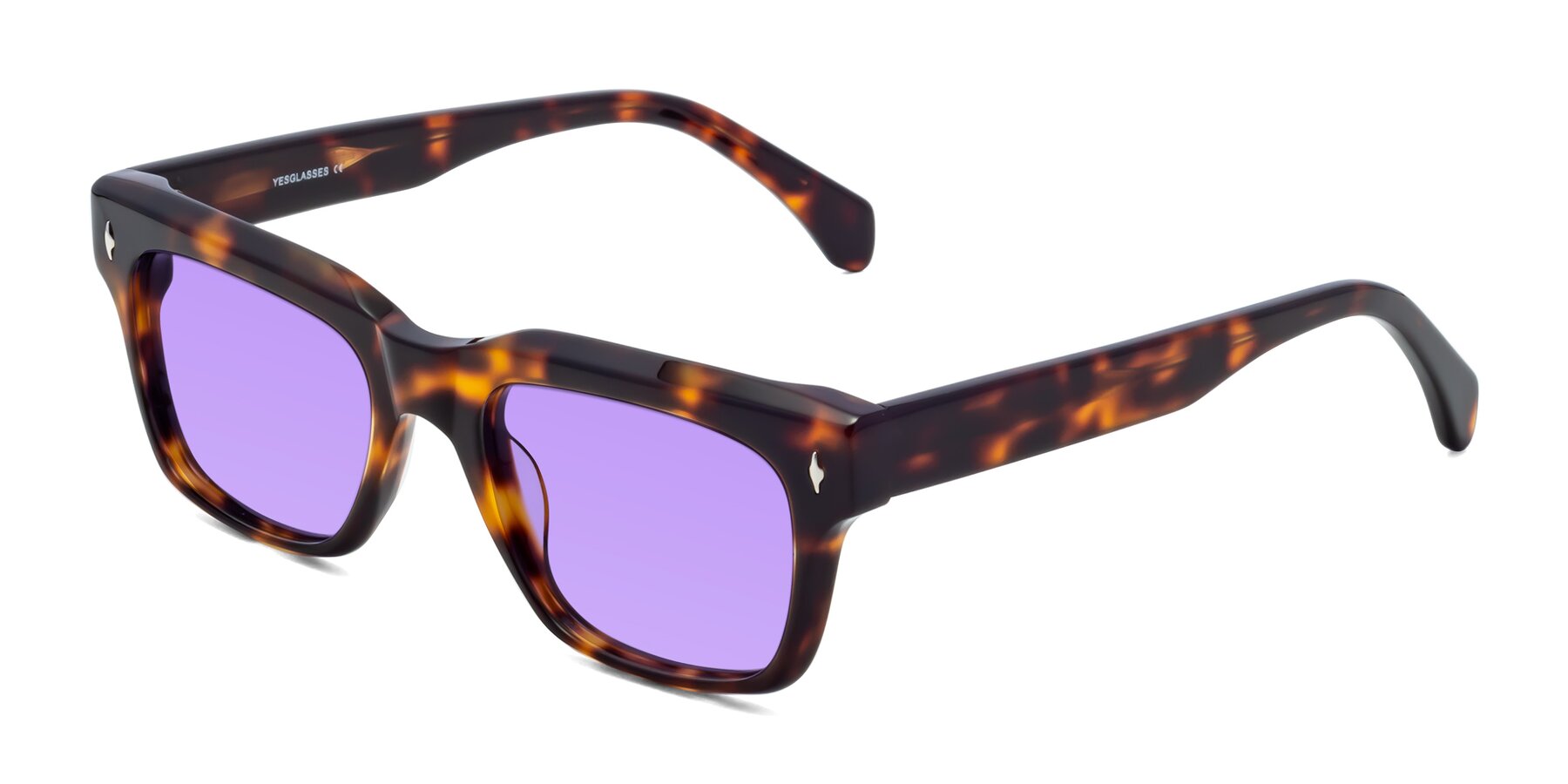 Angle of Forbes in Tortoise with Medium Purple Tinted Lenses