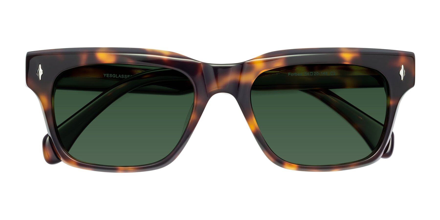 Folded Front of Forbes in Tortoise with Green Tinted Lenses