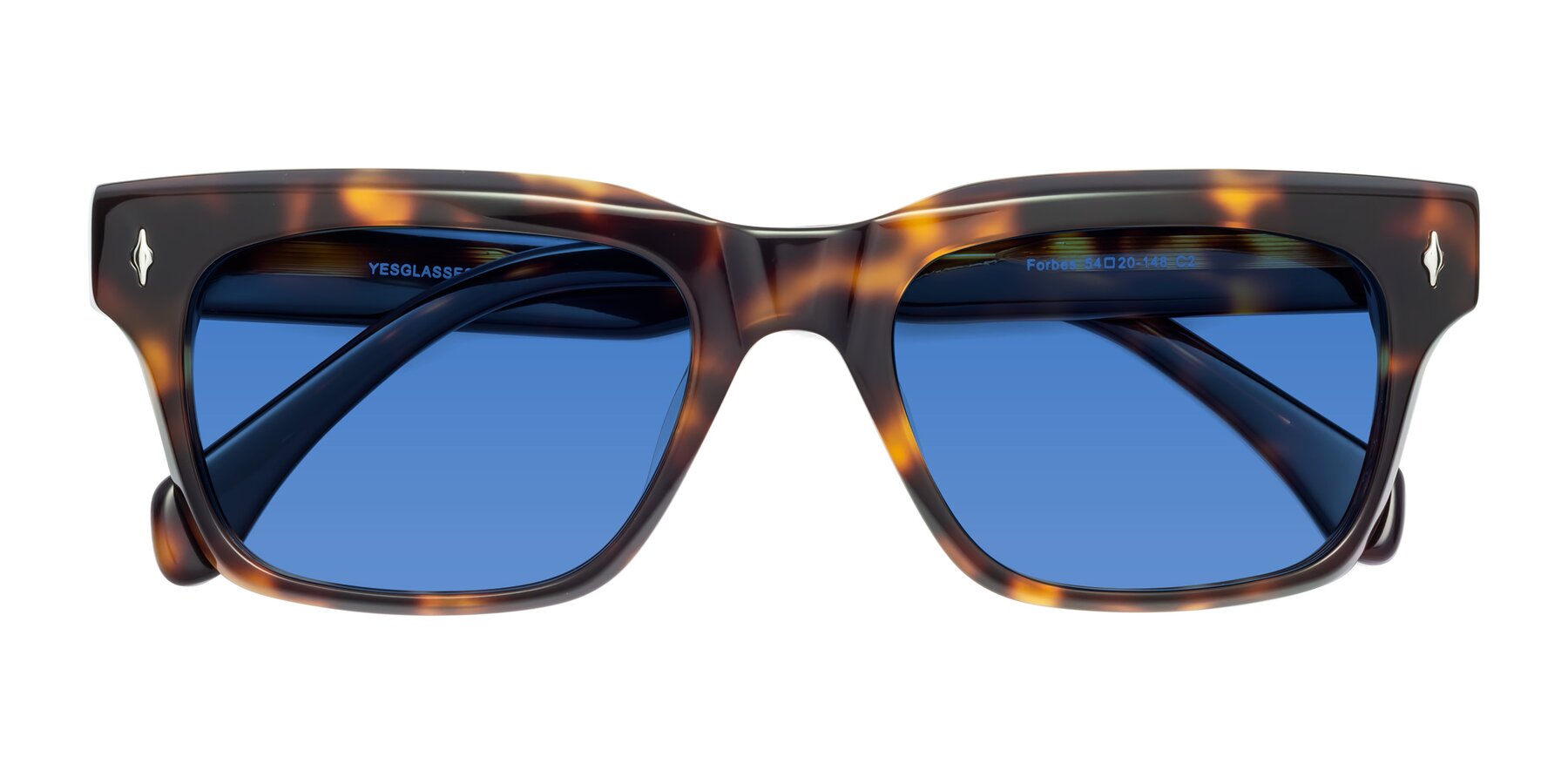 Folded Front of Forbes in Tortoise with Blue Tinted Lenses