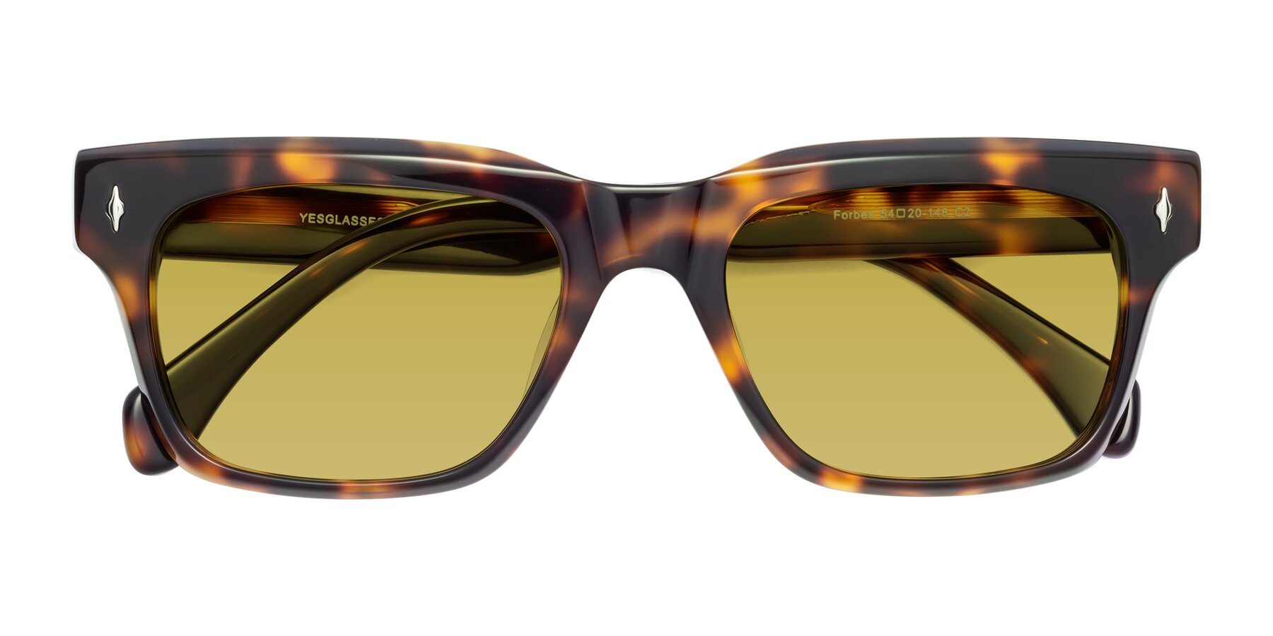 Folded Front of Forbes in Tortoise with Champagne Tinted Lenses