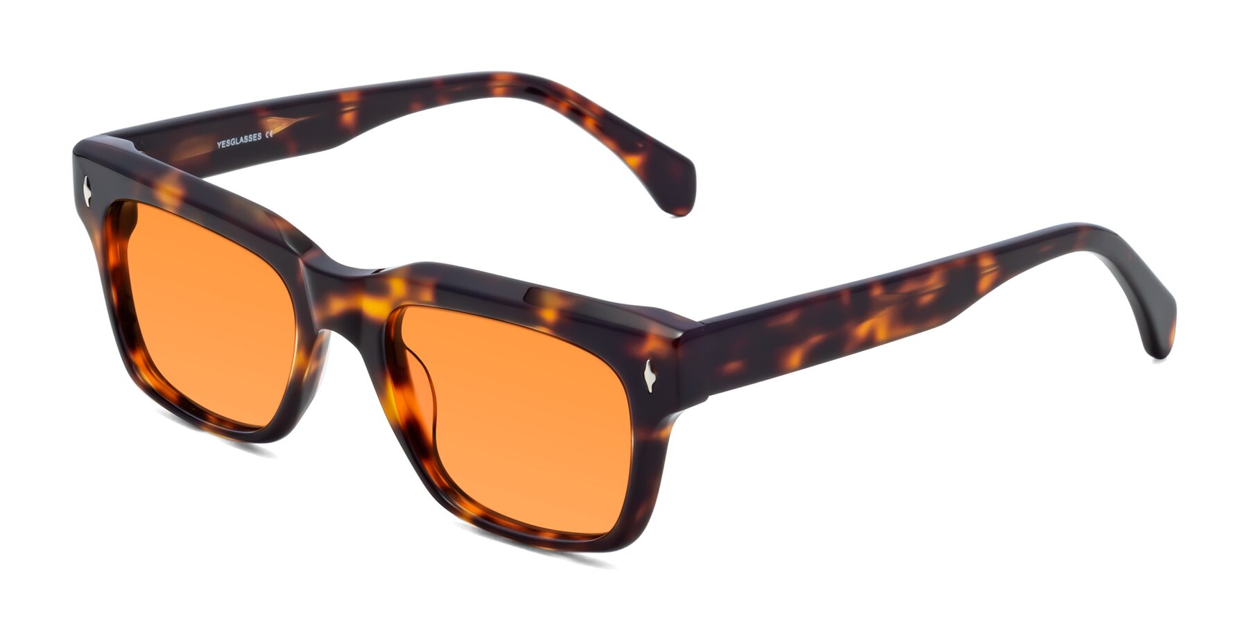 Angle of Forbes in Tortoise with Orange Tinted Lenses