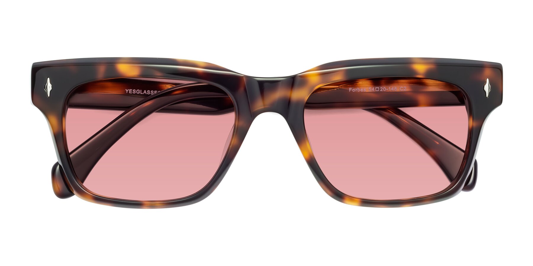 Folded Front of Forbes in Tortoise with Medium Garnet Tinted Lenses