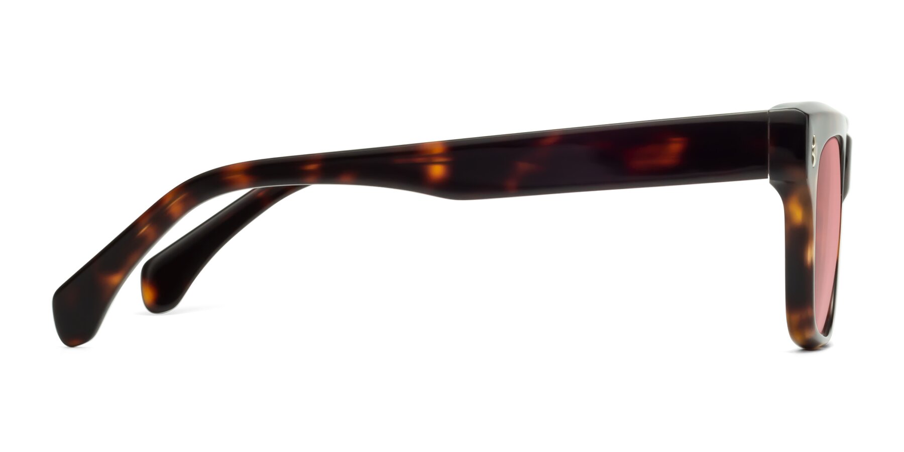 Side of Forbes in Tortoise with Medium Garnet Tinted Lenses