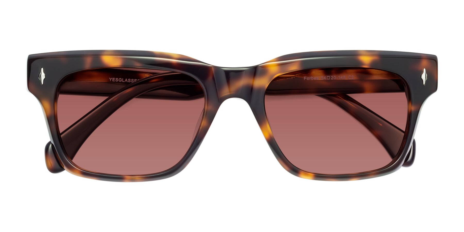 Folded Front of Forbes in Tortoise with Garnet Tinted Lenses