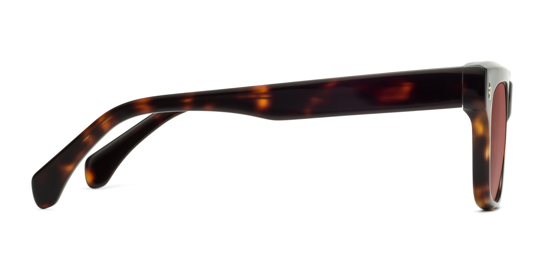 Side of Forbes in Tortoise with Garnet Tinted Lenses