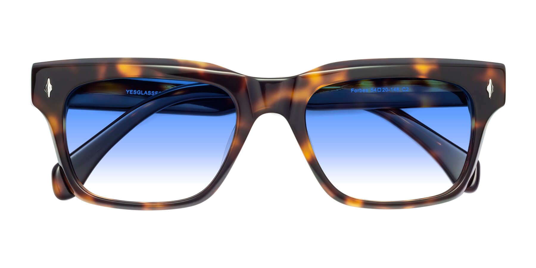 Folded Front of Forbes in Tortoise with Blue Gradient Lenses