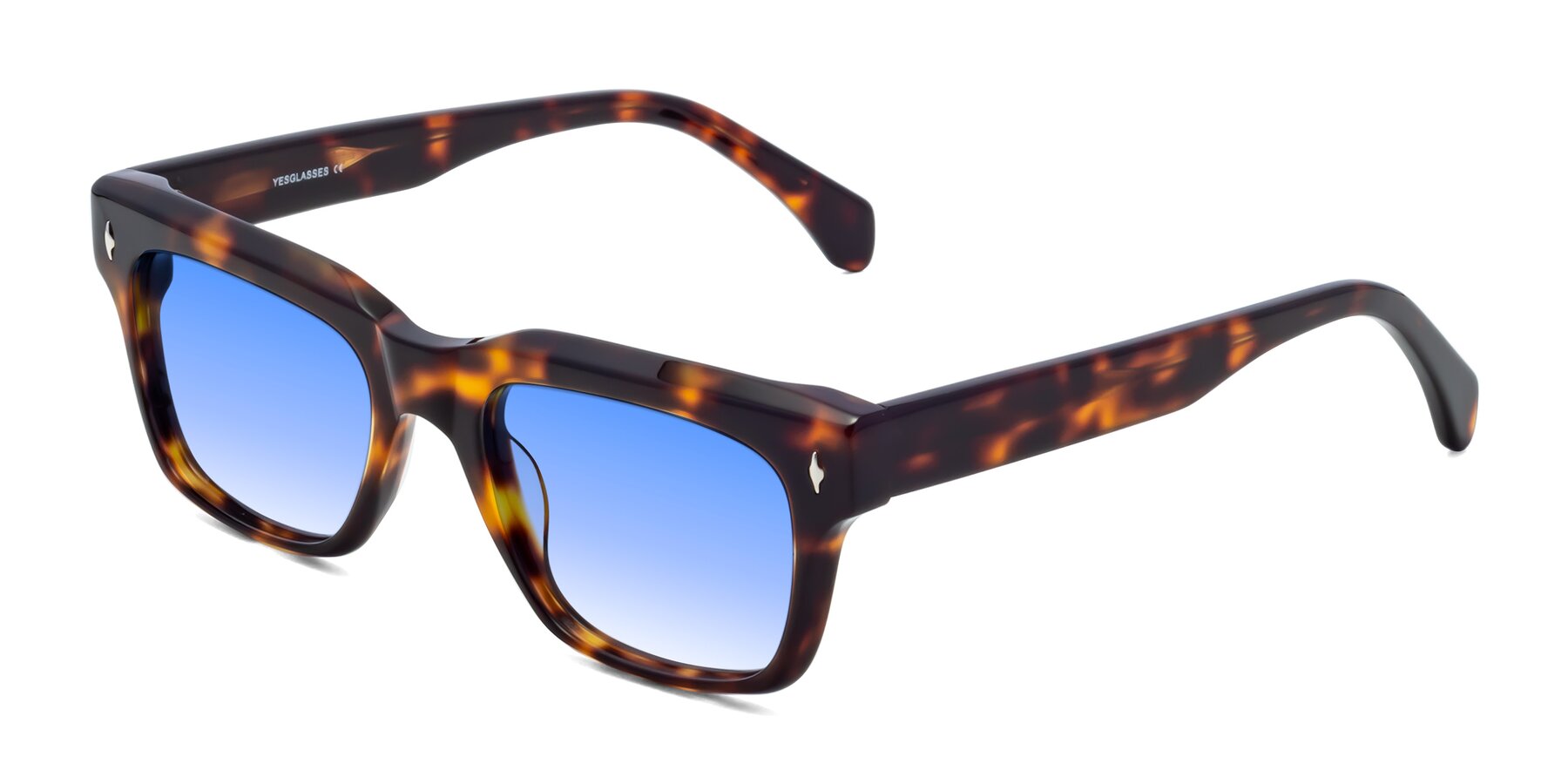 Angle of Forbes in Tortoise with Blue Gradient Lenses