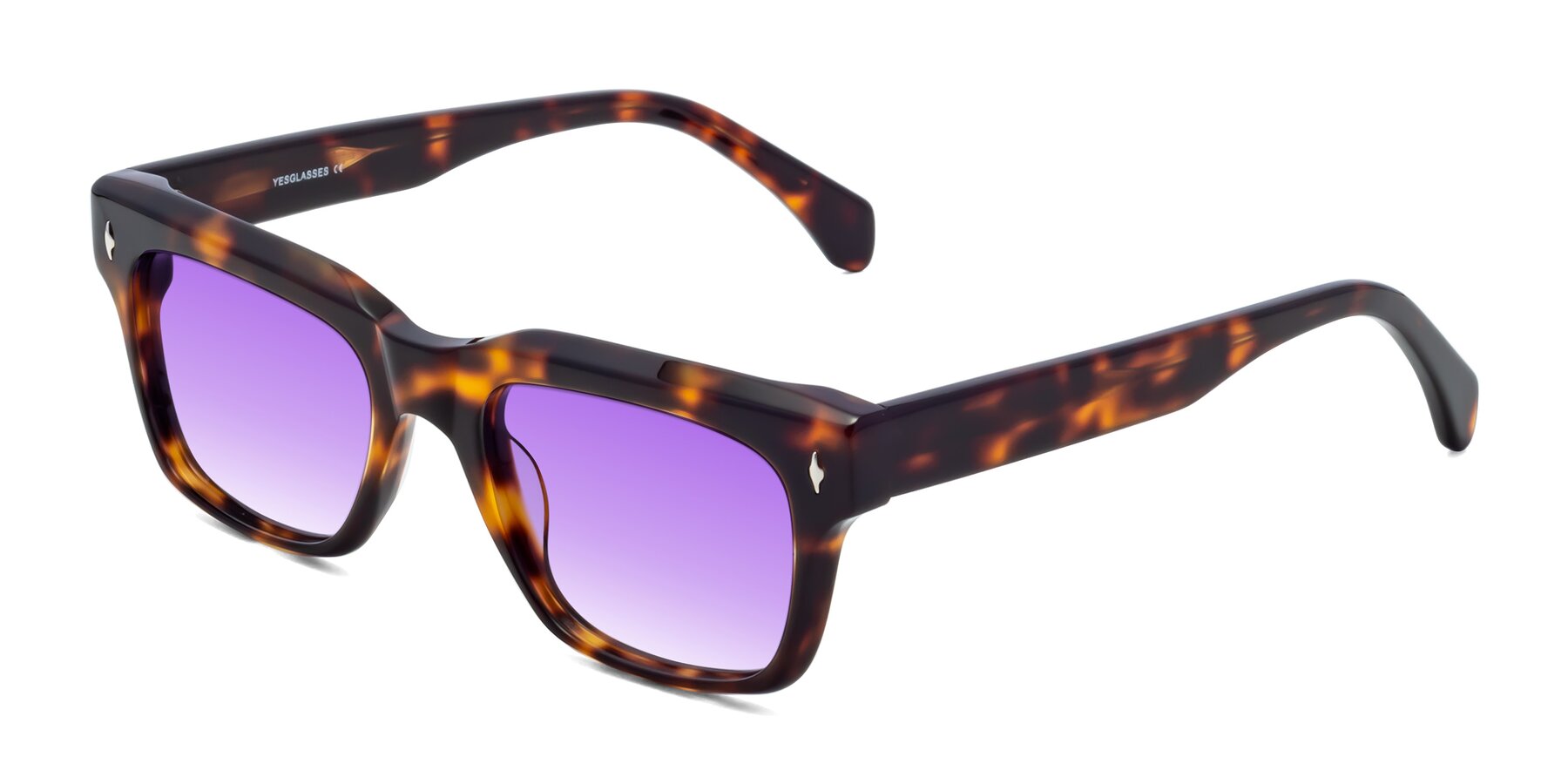 Angle of Forbes in Tortoise with Purple Gradient Lenses