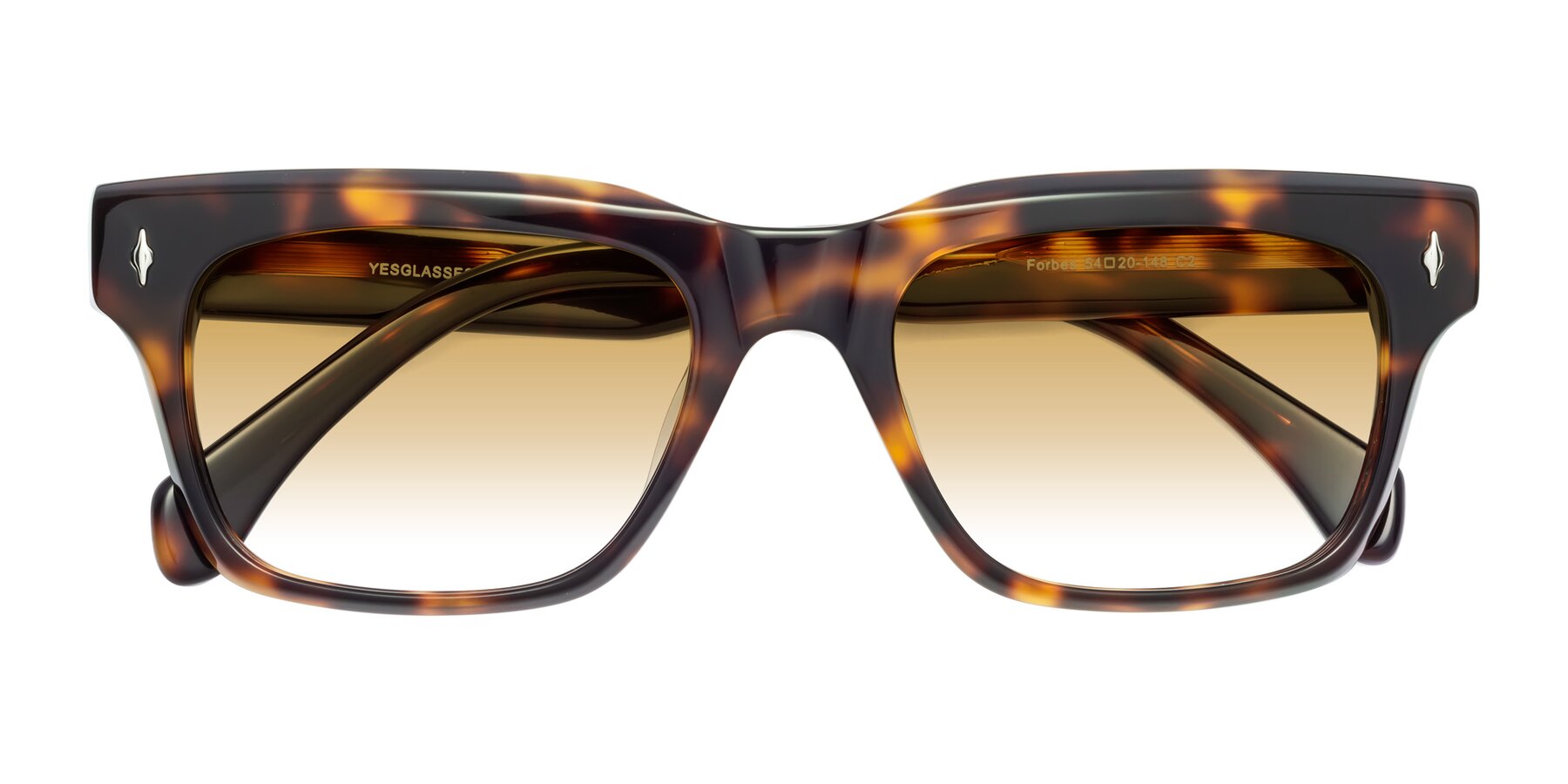 Folded Front of Forbes in Tortoise with Champagne Gradient Lenses