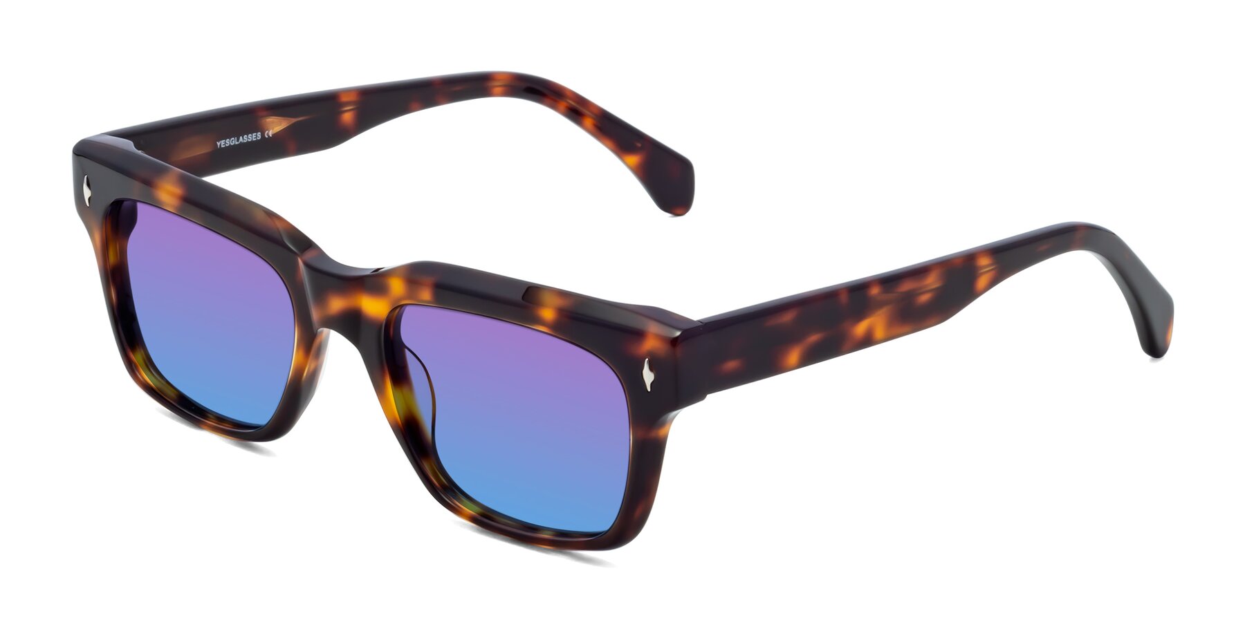 Angle of Forbes in Tortoise with Purple / Blue Gradient Lenses
