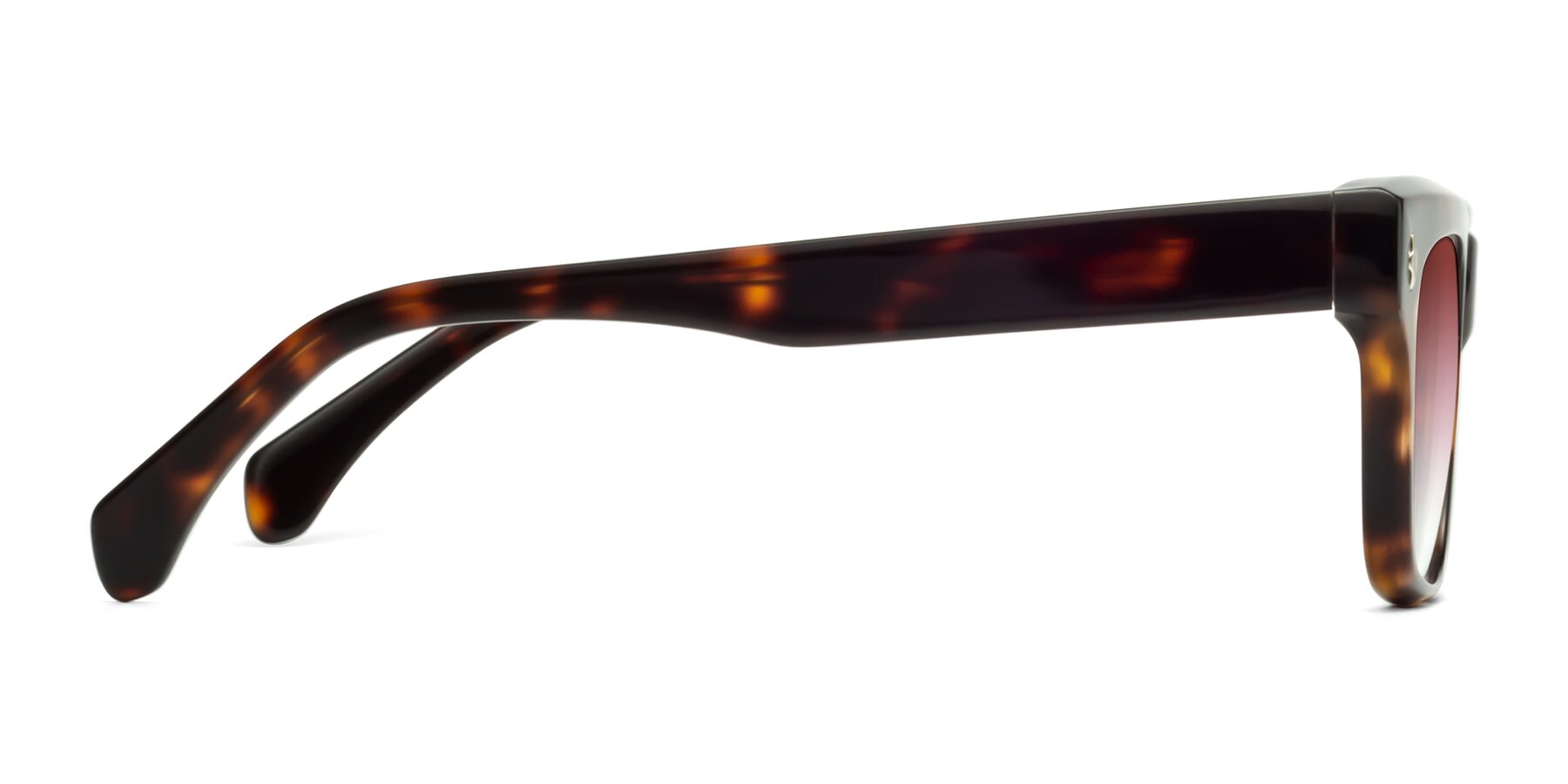 Side of Forbes in Tortoise with Garnet Gradient Lenses