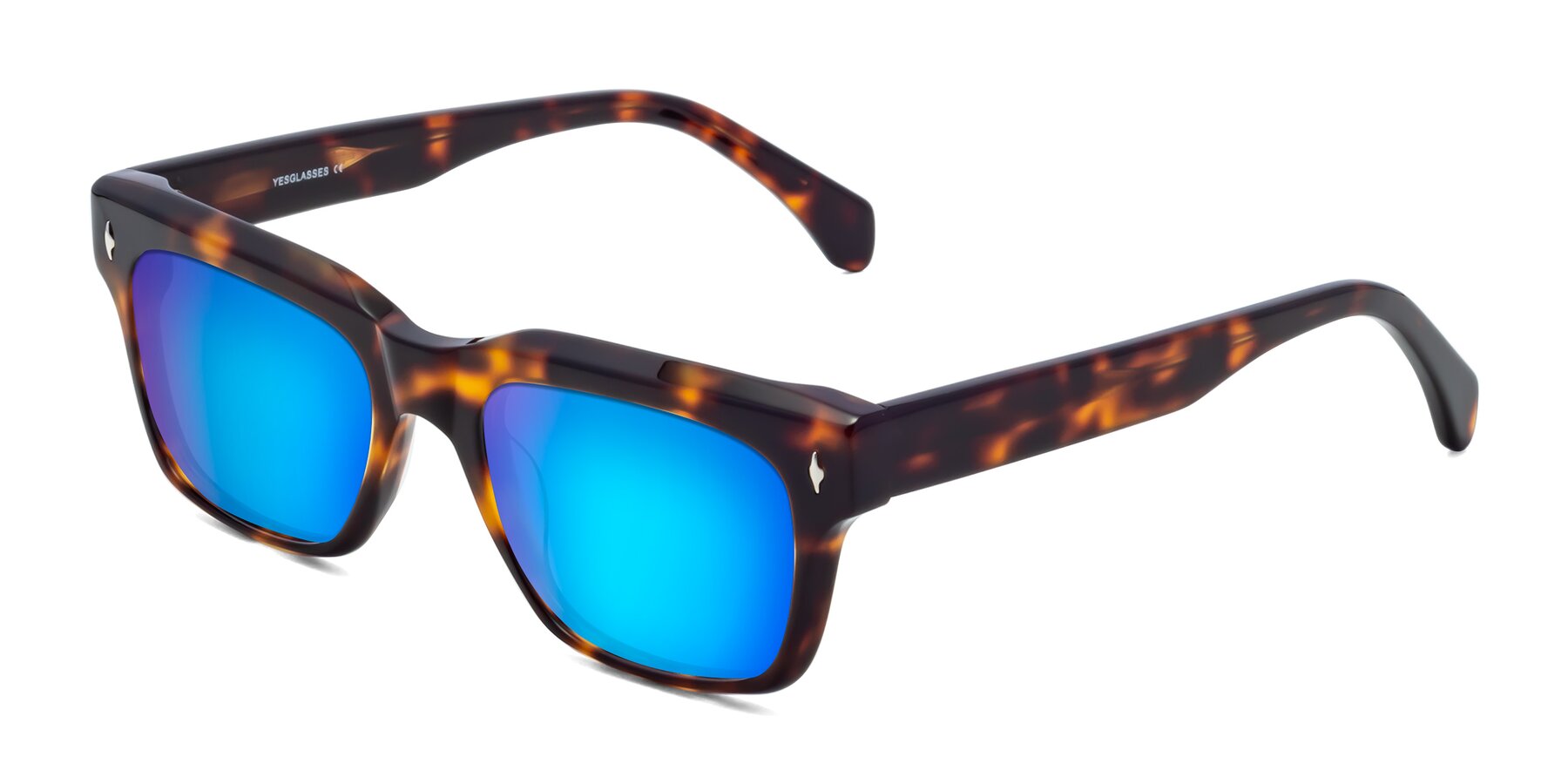 Angle of Forbes in Tortoise with Blue Mirrored Lenses