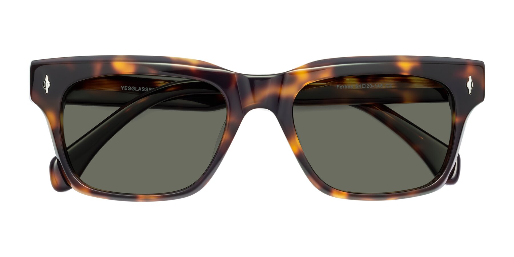Folded Front of Forbes in Tortoise with Gray Polarized Lenses