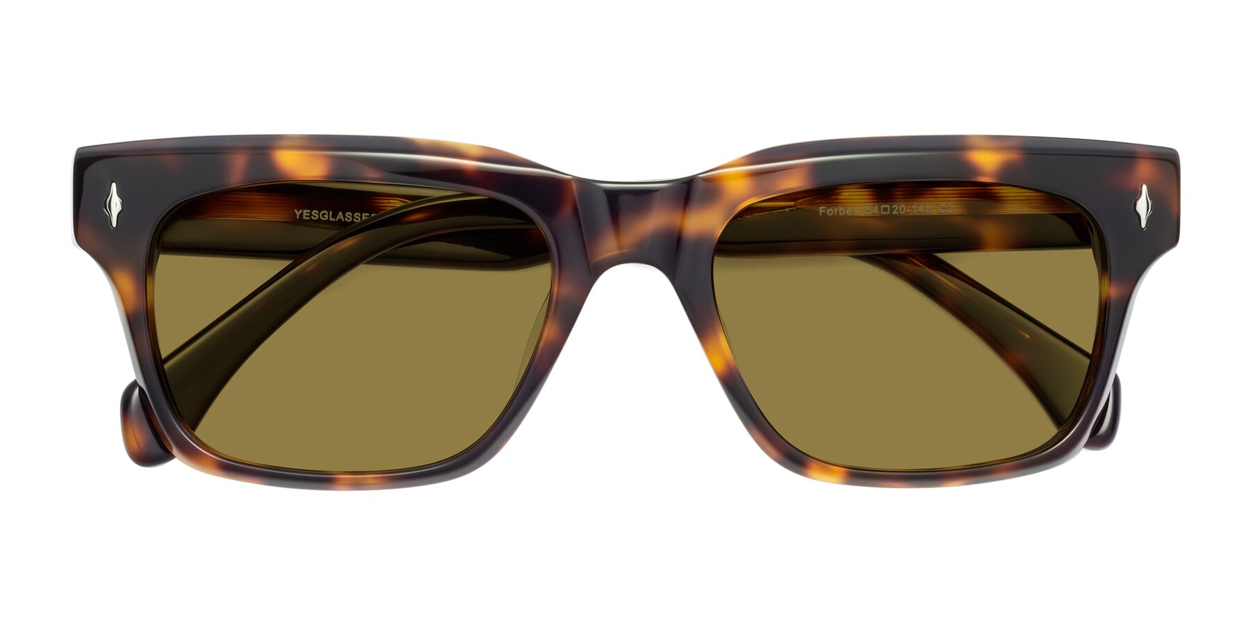 Folded Front of Forbes in Tortoise with Brown Polarized Lenses