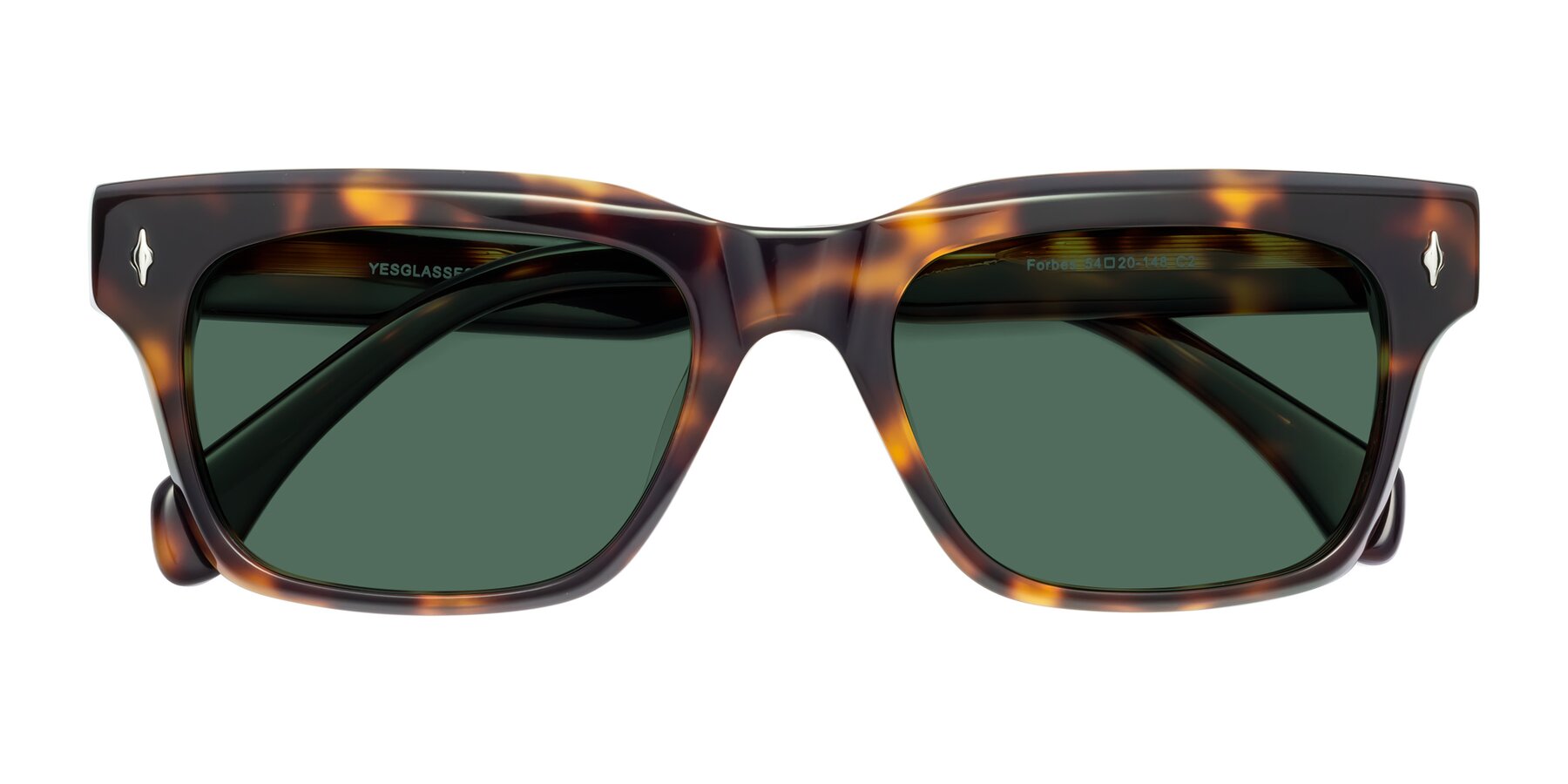 Folded Front of Forbes in Tortoise with Green Polarized Lenses