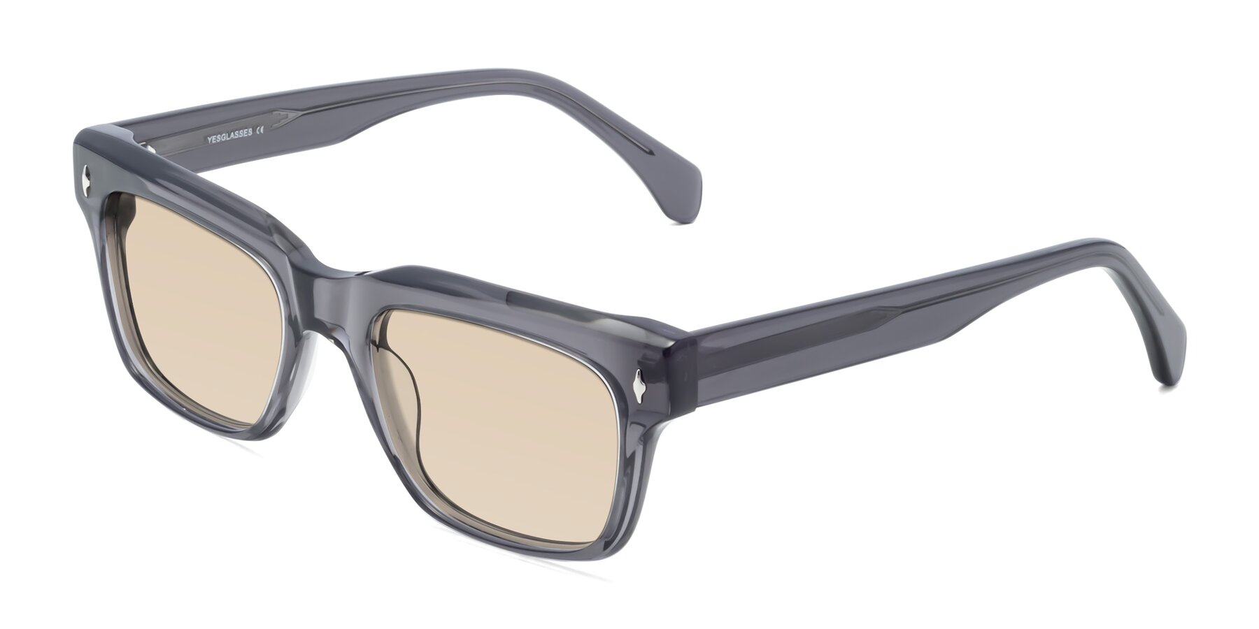 Angle of Forbes in Gray with Light Brown Tinted Lenses