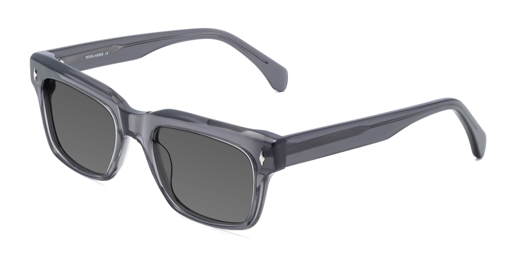 Angle of Forbes in Gray with Medium Gray Tinted Lenses