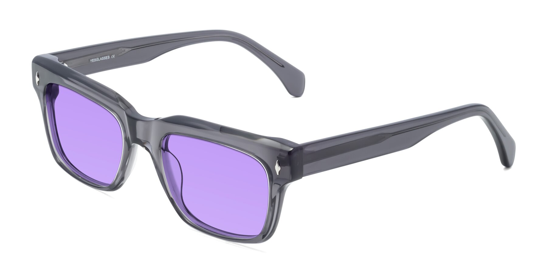 Angle of Forbes in Gray with Medium Purple Tinted Lenses