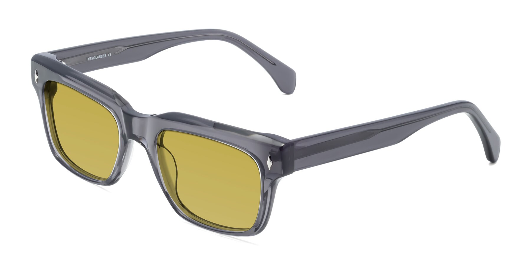 Angle of Forbes in Gray with Champagne Tinted Lenses