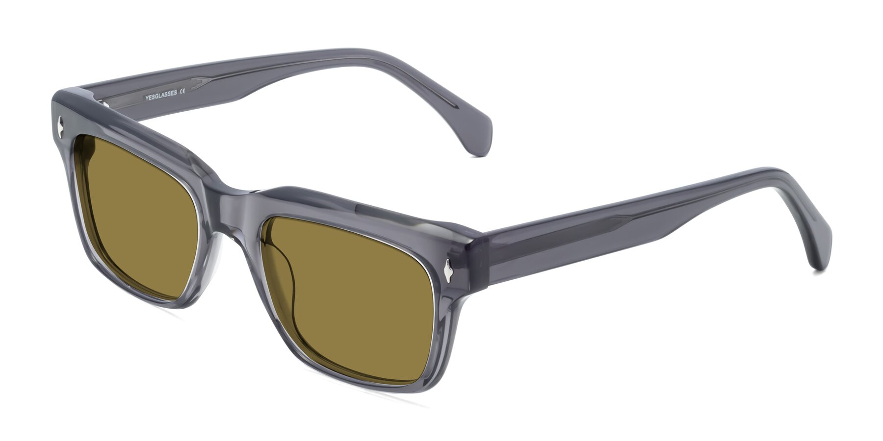 Angle of Forbes in Gray with Brown Polarized Lenses