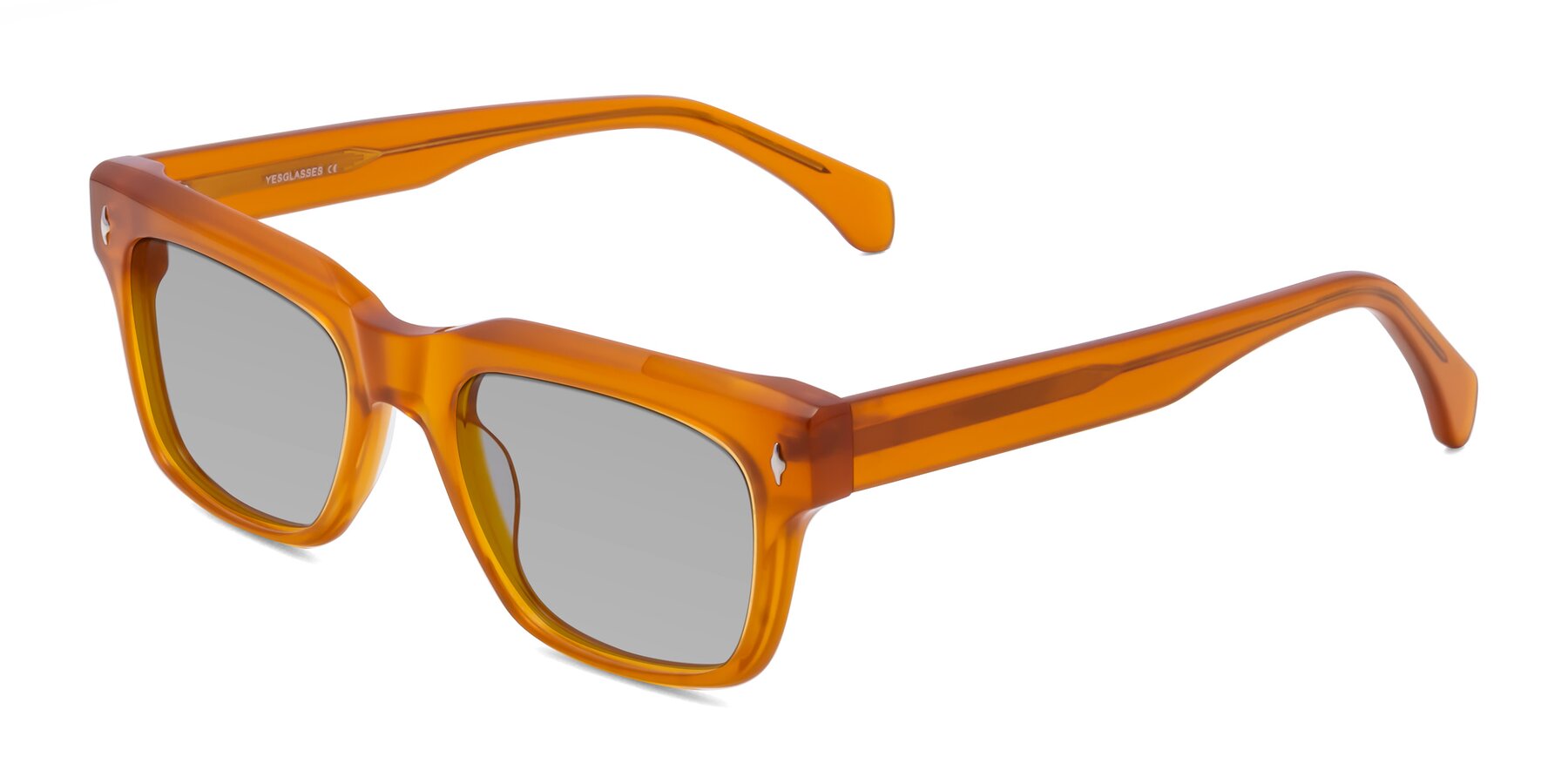Angle of Forbes in Pumpkin with Light Gray Tinted Lenses