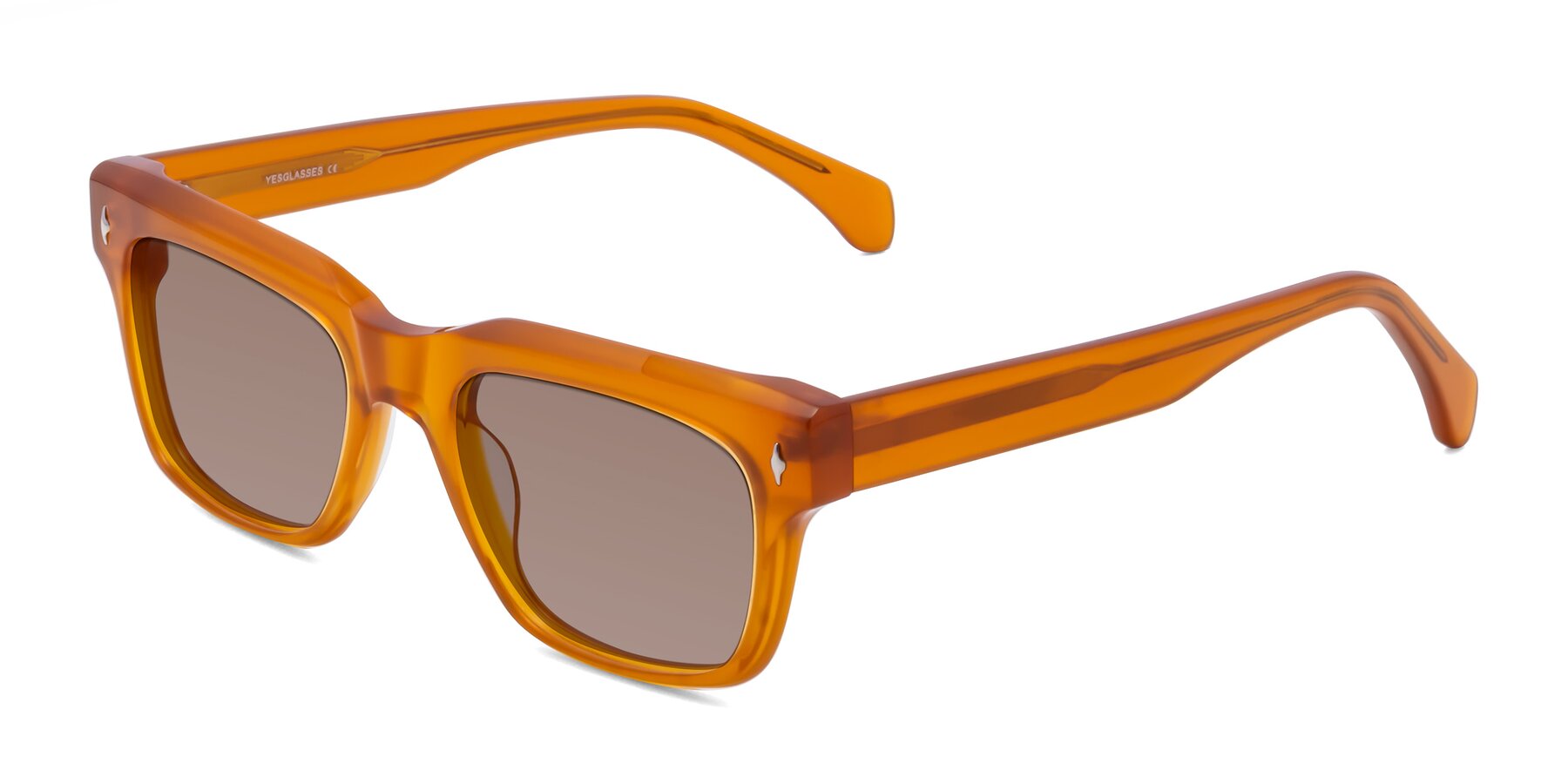 Angle of Forbes in Pumpkin with Medium Brown Tinted Lenses