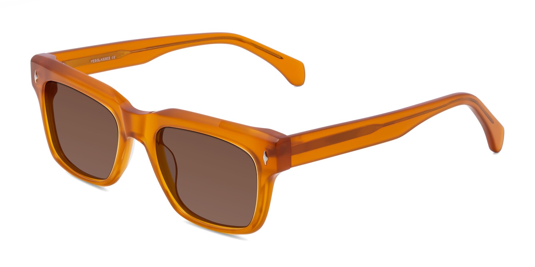Angle of Forbes in Pumpkin with Brown Tinted Lenses