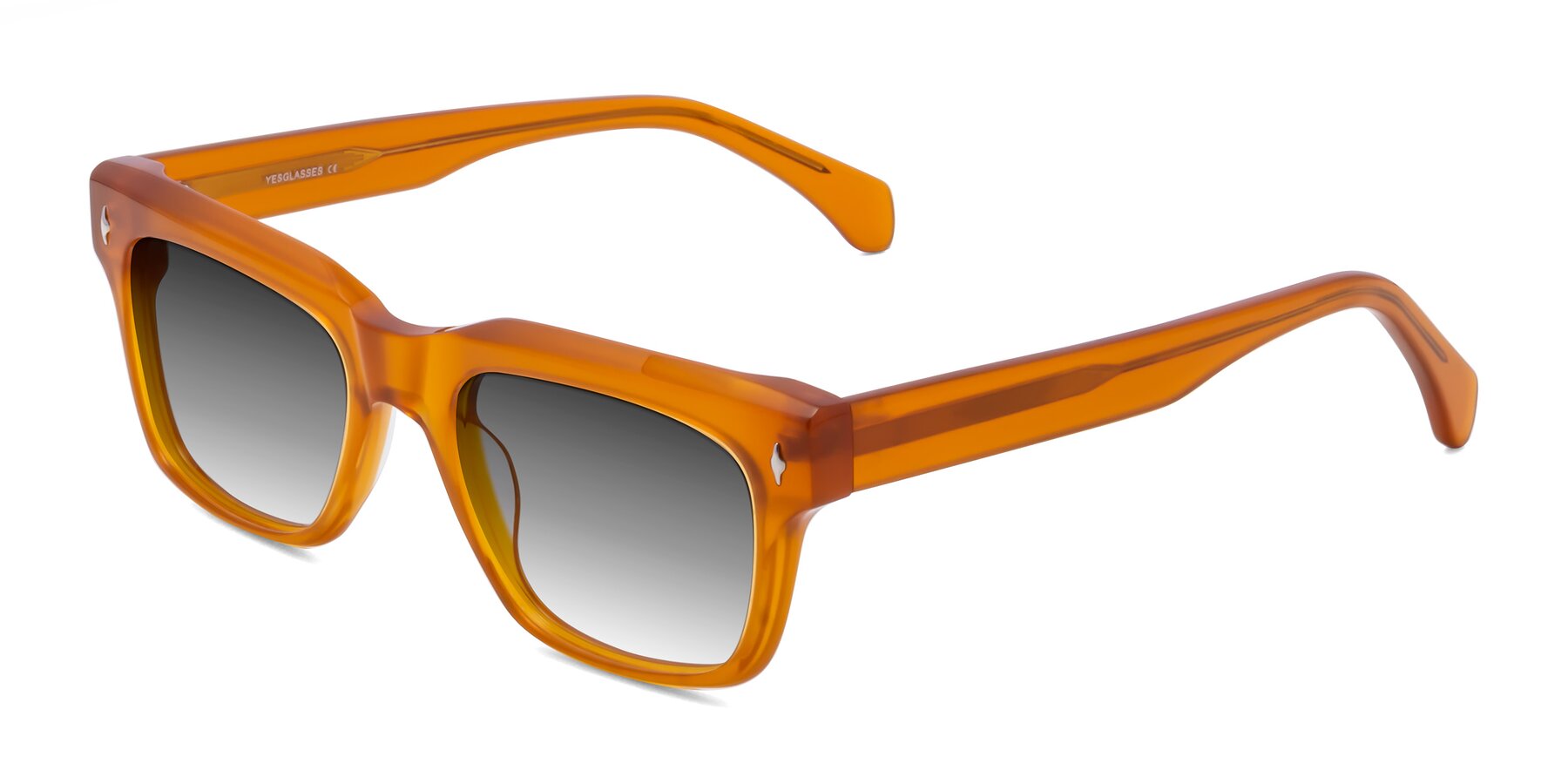 Angle of Forbes in Pumpkin with Gray Gradient Lenses