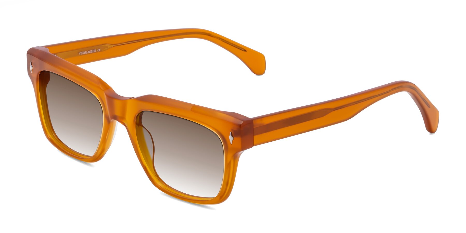 Angle of Forbes in Pumpkin with Brown Gradient Lenses