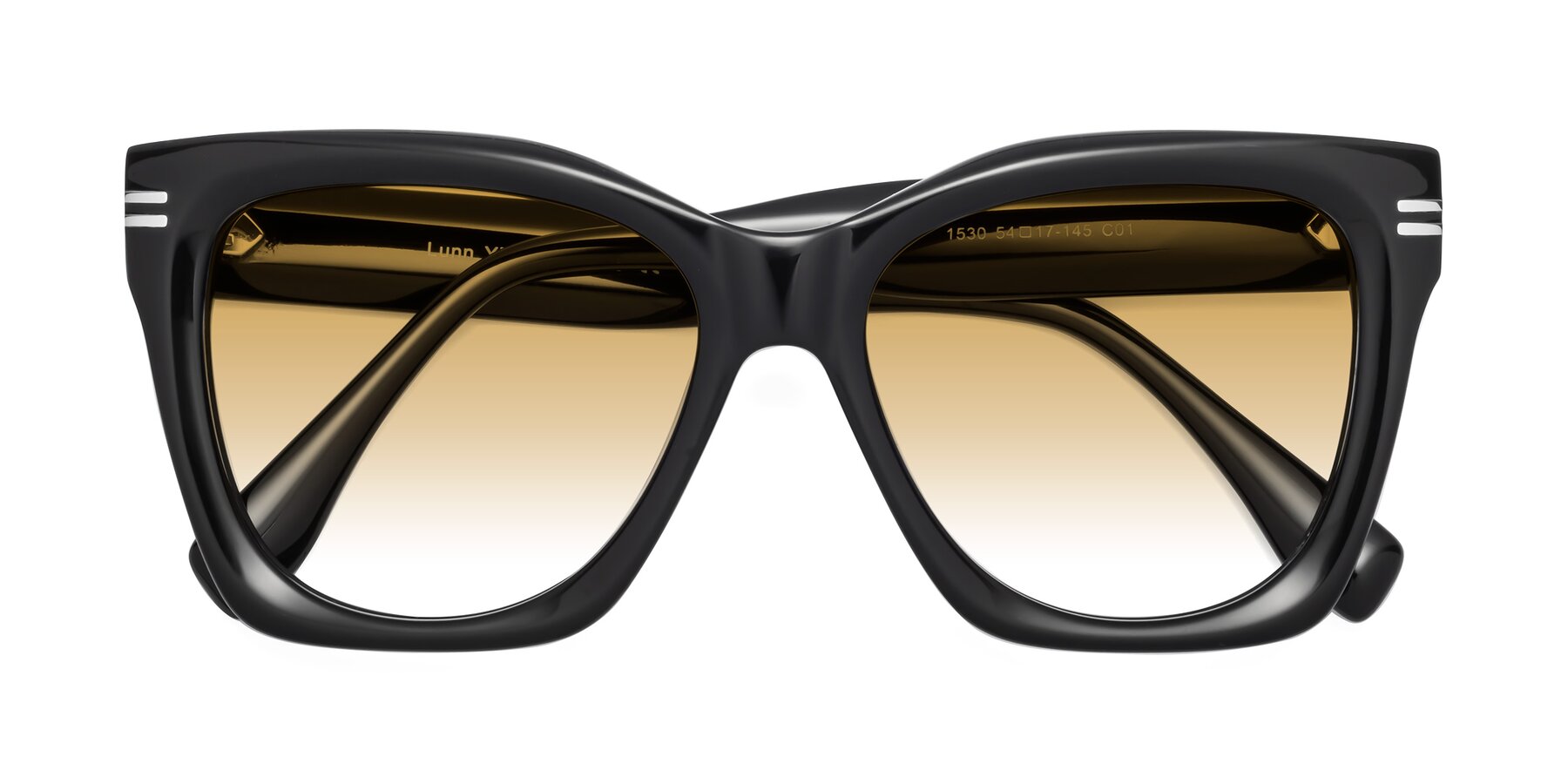 Folded Front of Lunn in Black with Champagne Gradient Lenses