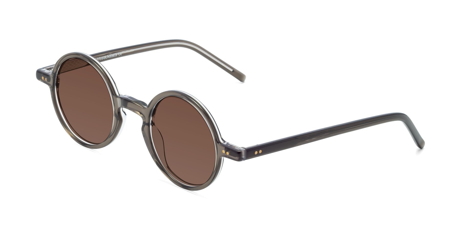 Angle of Oakes in Ash Gray with Brown Tinted Lenses