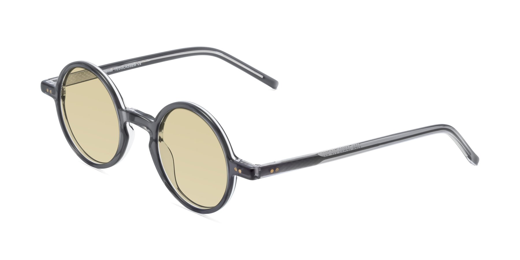 Angle of Oakes in Iron Gray with Light Champagne Tinted Lenses