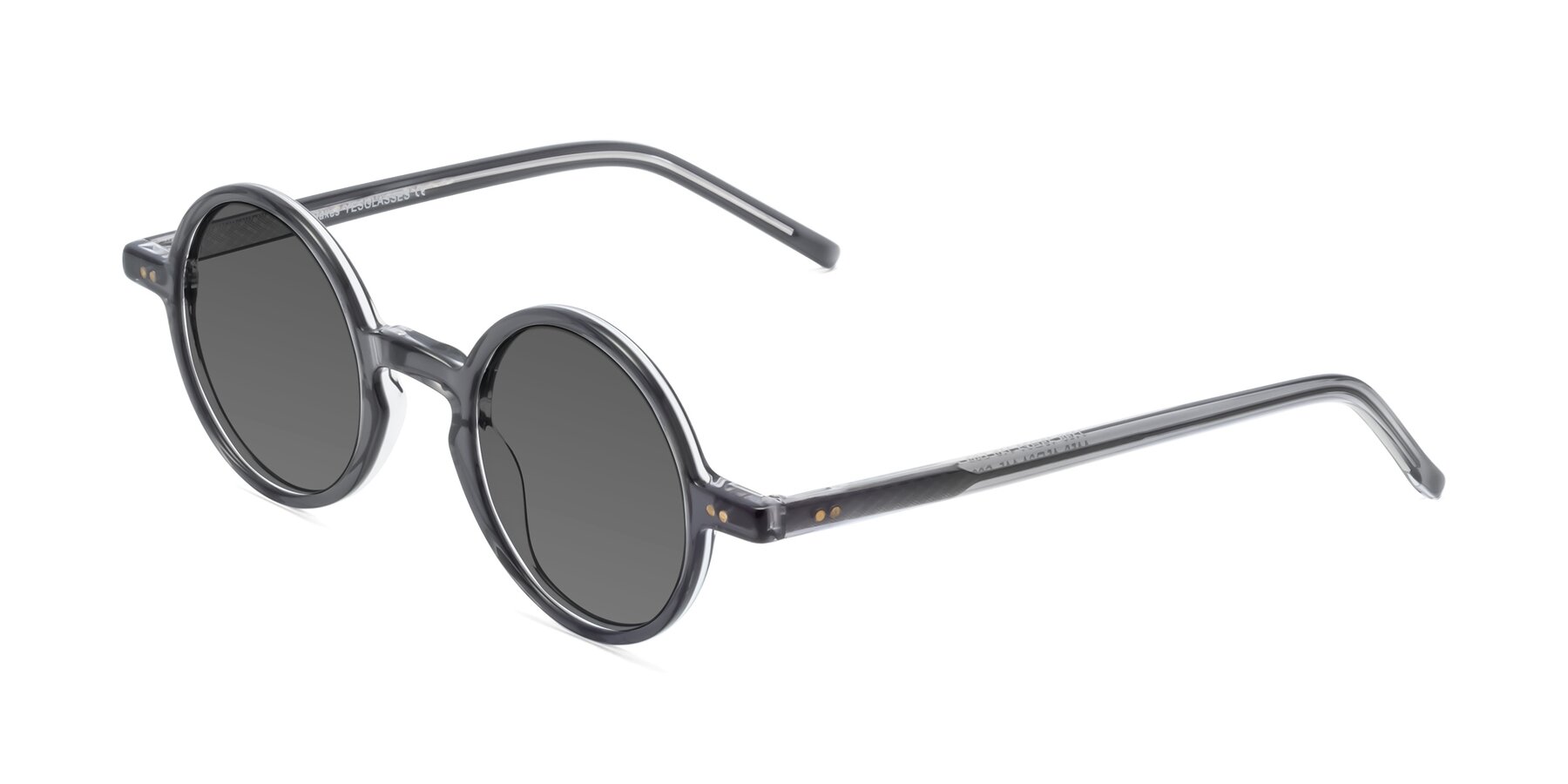 Angle of Oakes in Iron Gray with Medium Gray Tinted Lenses
