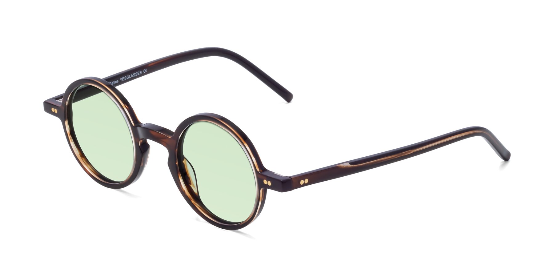 Angle of Oakes in Deep Brown Tortoise with Light Green Tinted Lenses