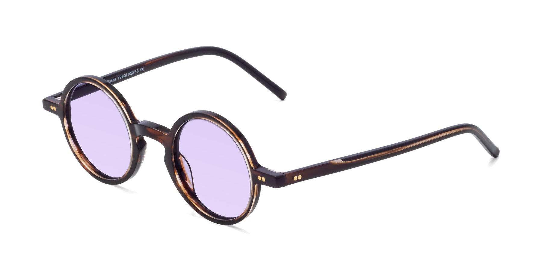 Angle of Oakes in Deep Brown Tortoise with Light Purple Tinted Lenses