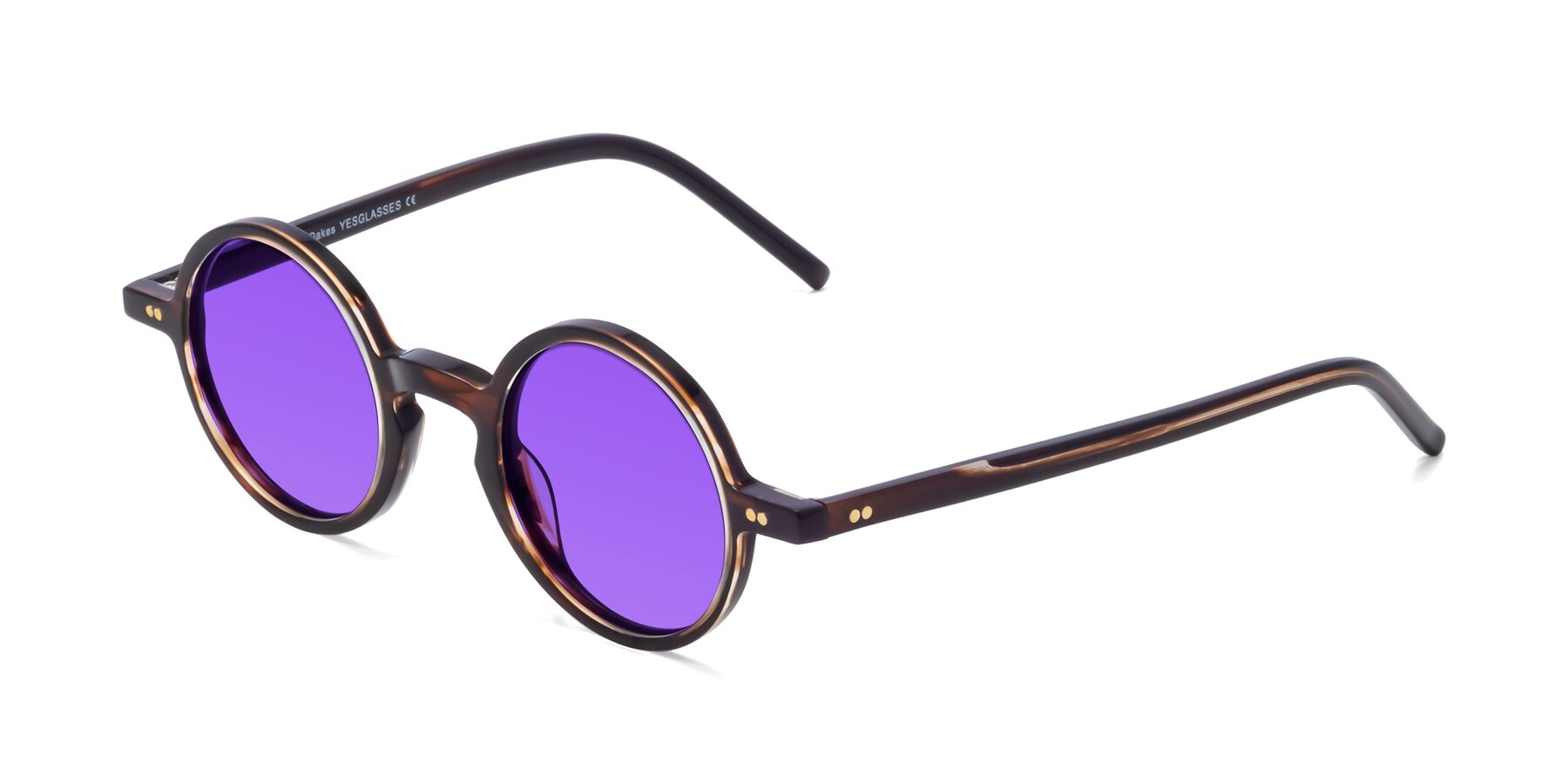 Angle of Oakes in Deep Brown Tortoise with Purple Tinted Lenses