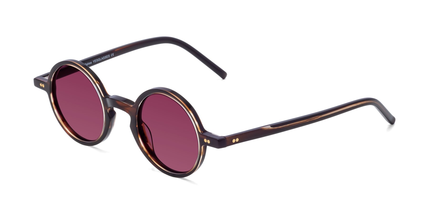 Angle of Oakes in Deep Brown Tortoise with Wine Tinted Lenses