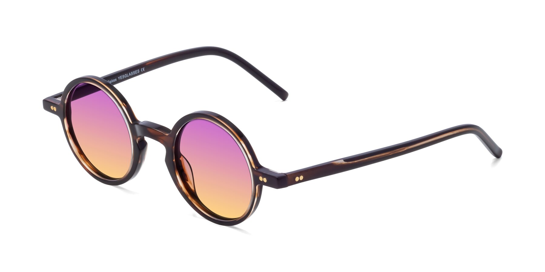 Angle of Oakes in Deep Brown Tortoise with Purple / Yellow Gradient Lenses