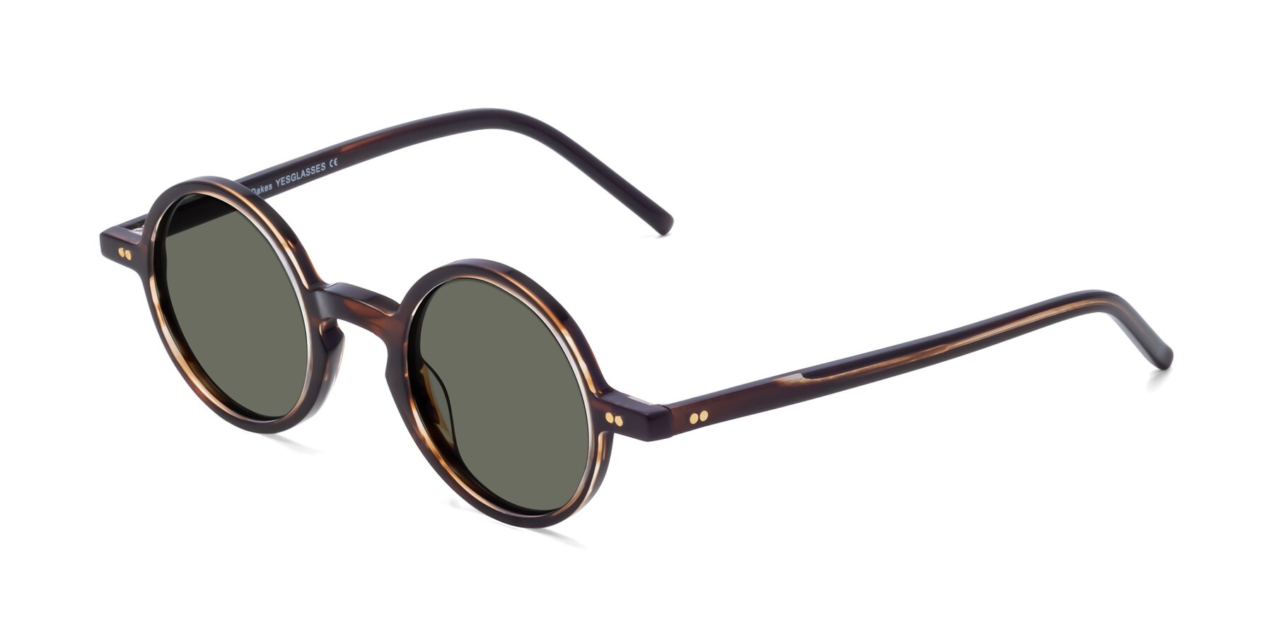 Angle of Oakes in Deep Brown Tortoise with Gray Polarized Lenses