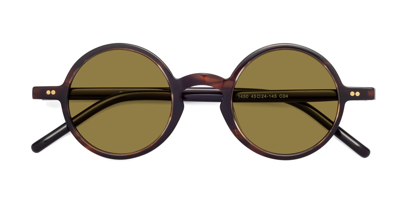 Oakes - Coffee Polarized Sunglasses
