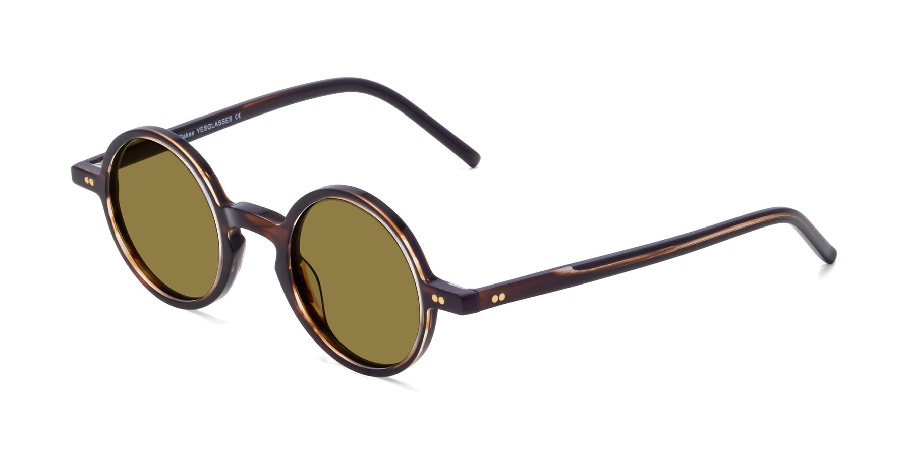 Angle of Oakes in Deep Brown Tortoise with Brown Polarized Lenses